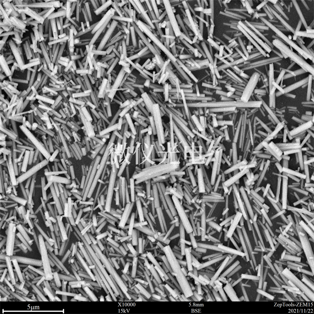 掃描電鏡.png 掃描電鏡.png